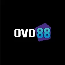 Review Lengkap Aplikasi ovo88 Terbaru